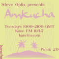 Steve Optix Presents Amkucha on Kane FM 103.7 - Week Twenty Nine