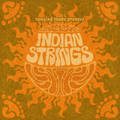 Indian Strings: Bjork, Led Zeppelin, R.E.M., The Cure, Concrete Blonde, David Bowie, Kate Bush