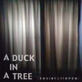 A Duck in a Tree 2013-05-11 | Exposessed