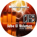 RETROMIX VIDEOMIXES VOL 15 - SUBE EL VOLUMEN  (GABRIELMIX ALL STYLE VIDE0MUSIC)