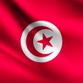Tunisia Defeated COVID mix mixed By Souheil DEKHIL