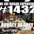 #1432 - Aubrey de Grey