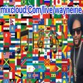 Reggae Revival Wayne Irie Live Show