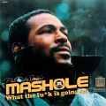 Mashole Vol.12 - What The Fu*k Is Going On (Marvin Gaye Edition)