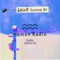 #59 Gallo w/ Hamon Radio from Berlin