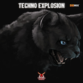 Techno Explosion Exclusive T.E.R.002 DjCokane & DJ W.Roy (bit.ly3eErF67) - 30.04.2022