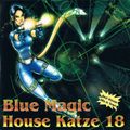 Blue Magic House Katze 18
