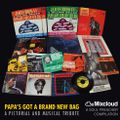 Papa's Got A Brand New Bag (A pictorial and musical tribute)