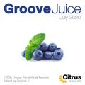 Groove Juice Blueberry - July 2020