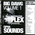 Funkmaster Flex & Cipha Sounds - Big Dawg Vol 1 (1998)