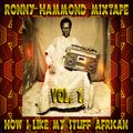 How I Like My Stuff African Vol. 1 (RoNNy HaMMoND iN ThE MiXx)