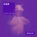 Guest Mix 089 - C.O.B. (The 264 Cru) [06-10-2017]
