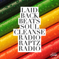 Soul Cleanse Radio #14 by Action Levi