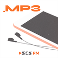 MP3 - The Lumineers - Joana Margarida Fialho