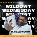 DJ BIG WORM Presents:  WildOwt Wednesday 6.14.23 - Hip Hop Classics