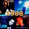 Top 40 Nederland - 20 februari 1988