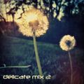 Joey Fehrenbach - Delicate Mix 2