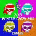 2013 CADA Winter Megamix