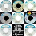 Wild Flower Roots 1974-79 - Rewind Show on Rastfm 5 July 2019
