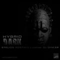 DJ Dincer - Hybrid Dark (December 2013 Guest)