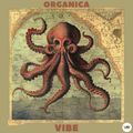 Organica - Vibe (Camel VIP Records) Premiere