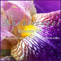 AURALSCAPES: EPISODE 003 (contemporary instrumental/world/classical music)