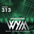 Cosmic Gate - WAKE YOUR MIND Radio Episode 313