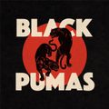 Black Pumas - Especial de Mañanas X