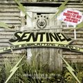 Sentinel Sound - Dancehall Mix Vol 16 - Conscious Selection - Enter Zion [2008]