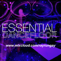 Ray Rungay Essential Dancefloor