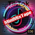 TikTok MiniMixTape