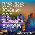 Trip Hop Beats for Hip Hop Heads
