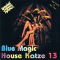 Blue Magic House Katze 13
