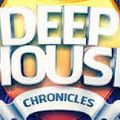 BASS DEEP CHRONICLES VOLUME 3 - HOUSE & BASS - LEE SHAW