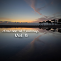 Ambiental Feelings Vol. 8