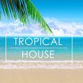 Tropical House 2017- Felling Music  Vol.4 - DJ TÙNG TEE MIX