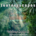 PGM 272: Rainforest Sojourn 5 (another ethno-chill / tribal ambient journey through the tropics)