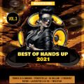 Best Of Hands Up 2021 Vol.3 (mixed by Dj Fen!x)