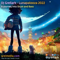 Lunapalooza 2022 Drum and Bass DJ Set
