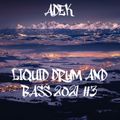 Liquid Drum and Bass 2021 #3