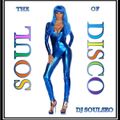 The Soul Of Disco