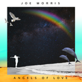 Higher Love 041 - Joe Morris Promo Mix