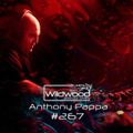 Anthony Pappa Wildwood Mix Feb 2023