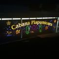 STAN ADRIAN - LIVE SET @Cabana Plapumioara !