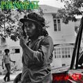 Bob Marley & The Wailers - Dubwiser