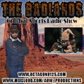The Badlands Combat Sports Radio Show - Andrew Van Zyl Interview (November 22, 2013)