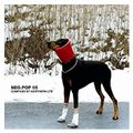 NEOPOP 5 - Part II - Mix By NORTHERN LITE - #Electropop #Technopop #Indie Pop