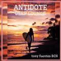 Antidote Deep Lounge - re 141 - 96 - 290722 (43)
