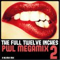 The Full Twelve Inches...PWL Megamix Volume 2