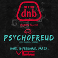 Arena dnb radio show - vibe fm - mixed by PSYCHOFREUD - 18 Feb 2014